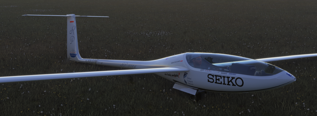 Diana 2 Glider (for MSFS 2024 and PC only)