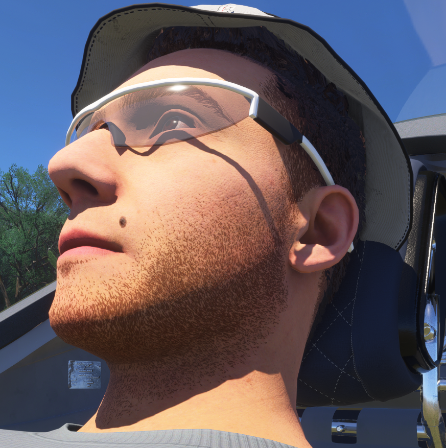 Diana 2 Glider (for MSFS 2024 and PC only)