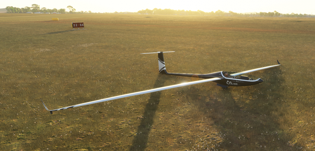 Diana 2 Glider (for MSFS 2024 and PC only)